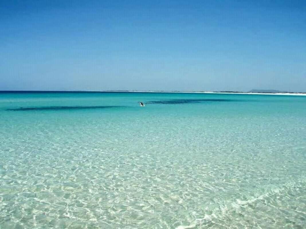 Apartamento Predio Atalaia - Grande Arraial do Cabo
